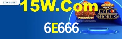Premium Interface 6E666